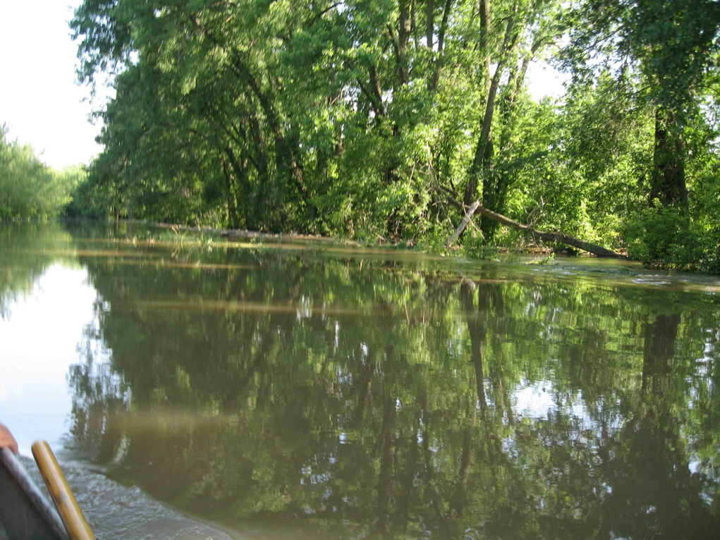 Cabin lane N. Michael Creek to right