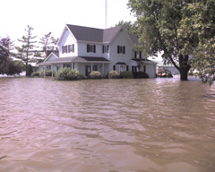 House in Oakville 3