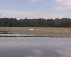 Photo_062008_014